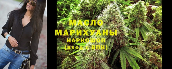 дмт Дмитровск