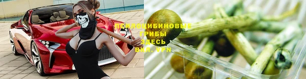 спайс Дмитров