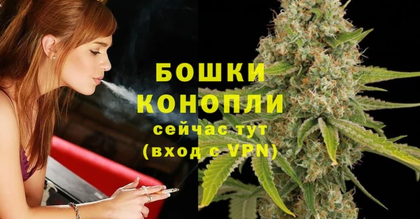молекула духа Гусев