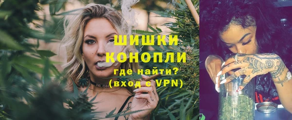 дмт Дмитровск