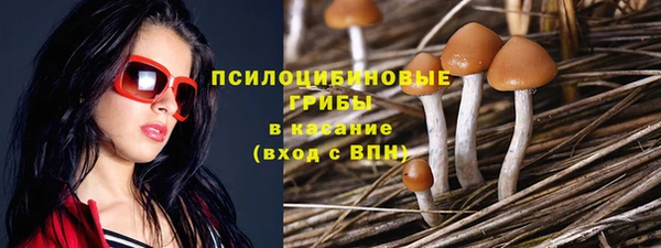 первитин Гусиноозёрск