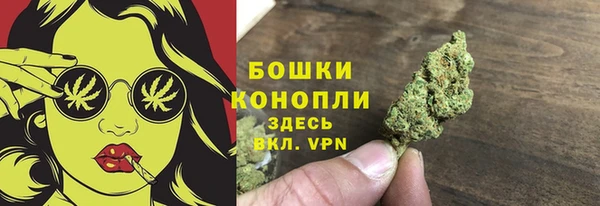 первитин Гусиноозёрск