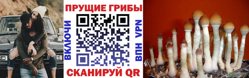Галлюциногенные грибы мухоморы  сколько стоит  Пестово 